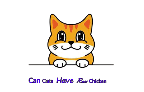 can cats have raw chicken